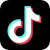 TikTok Mobile VPN